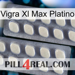 Vigra Xl Max Platinum 07